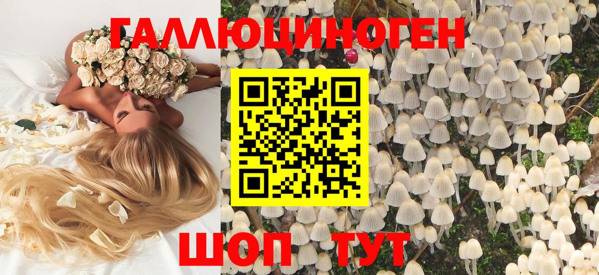 Отрадное  Псилоцибиновые грибы мухоморы  цены   Вход с VPN 